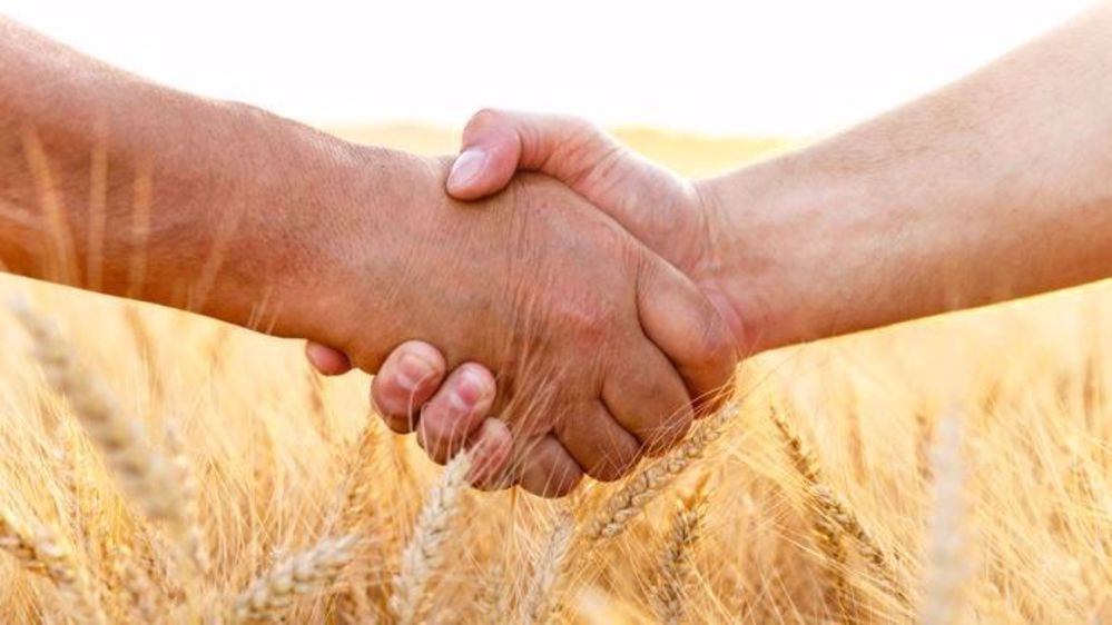 Le projet Témoin vise à répondre à l'enjeu de la transmission des exploitations agricoles et du renouvellement des générations d'agriculteurs dans le Massif central. (©PointImages, Fotolia)