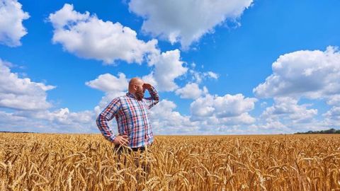 L'Ukraine, la Roumanie et le sud de la Russie attendent des pluies. (©Saharrr/Fotolia)