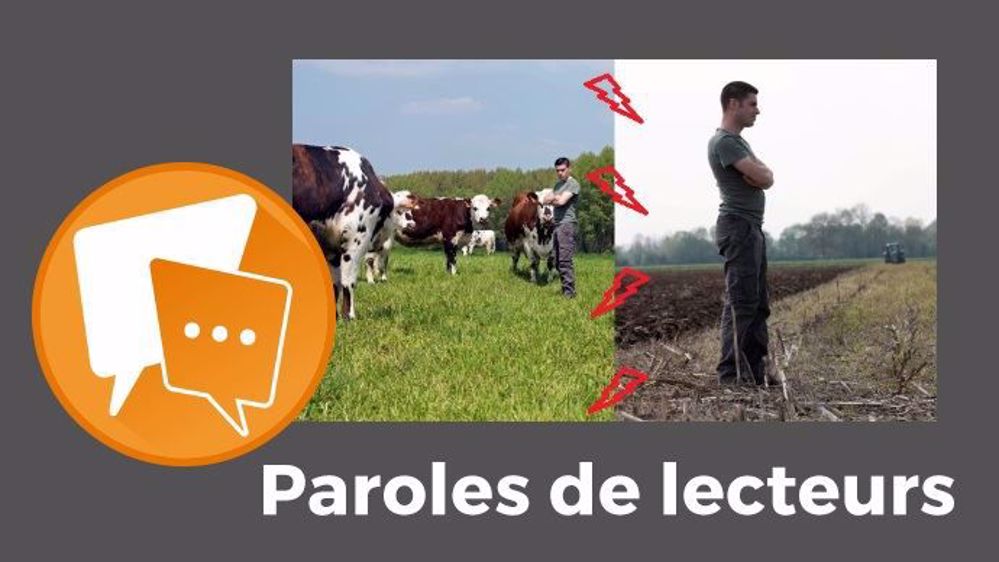 « Belle ambiance ! À quelques agris, vous n'arrivez déjà pas à vous entendre... On n'est pas sorti de l'auberge à l'échelle du pays », déplore Tell14. (©Watier-Visuel // Création Terre-net Média)