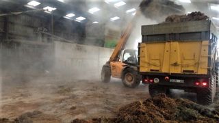 Un vide sanitaire total et suffisamment long peut s'avérer bien utile l'été afin de repartir dans un bâtiment sain pour la prochaine saison. Cela commence par un curage puis un lavage et une désinfection des sols et des murs. (©Terre-net Média) Un vide sanitaire total et suffisamment long peut s'avérer bien utile l'été afin de repartir dans un bâtiment sain pour la prochaine saison. Cela commence par un curage puis un lavage et une désinfection des sols et des murs. (©Terre-net Média)