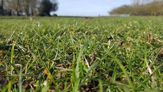 Le groupe « herbe et prairie » de Lorraine propose une demi-journée technique le 14 juin 2018 à Courcelles sur Aire. (©Terre-net Média) Le groupe « herbe et prairie » de Lorraine propose une demi-journée technique le 14 juin 2018 à Courcelles sur Aire. (©Terre-net Média)