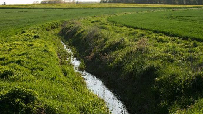 Première famille de produits concernée par les transferts de molécules phytopharmaceutiques hors des parcelles : les herbicides