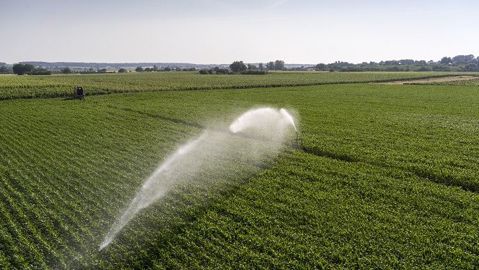 En France, moins de 7 % de la surface agricole est équipée pour l'irrigation. (©Watier visuels)