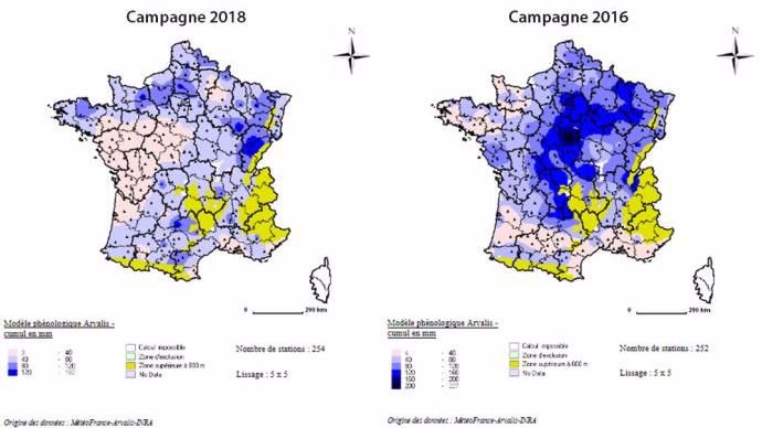 Cumul à +/- 10 jours de la floraison