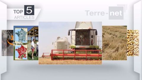 Top articles de Terre-net cette semaine. (©Terre-net Média)