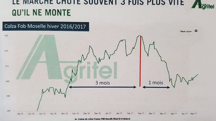 Exemple de chute des prix trois fois plus rapide que la montée, sur du colza en 2016-2017.