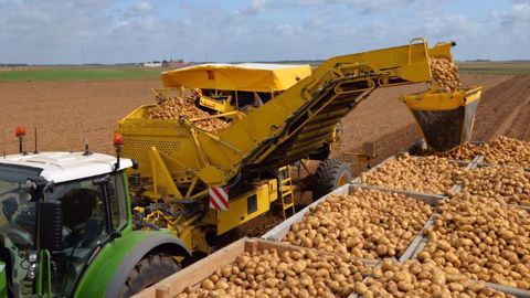 Le débit de chantier de l'arracheuse Ropa Keiler 2L augmente de 30 %. (©Ropa)