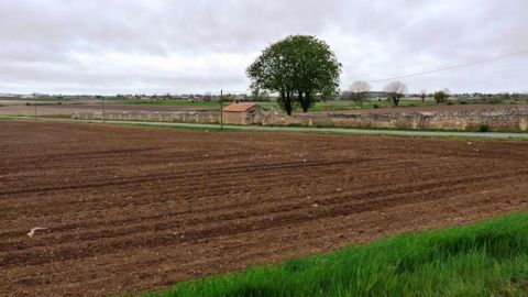 Retrouvez les prix des terres libres et prés occupés en 2017 dans la région Grand Est. (©Terre-net Média) 