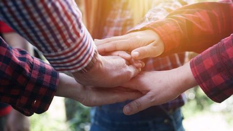 Travailler ensemble au service des agriculteurs. (©your123 - Fotolia) Travailler ensemble au service des agriculteurs. (©your123 - Fotolia)