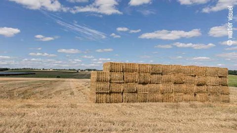 Le bonus paille des orges d’hiver Hyvido en 2018