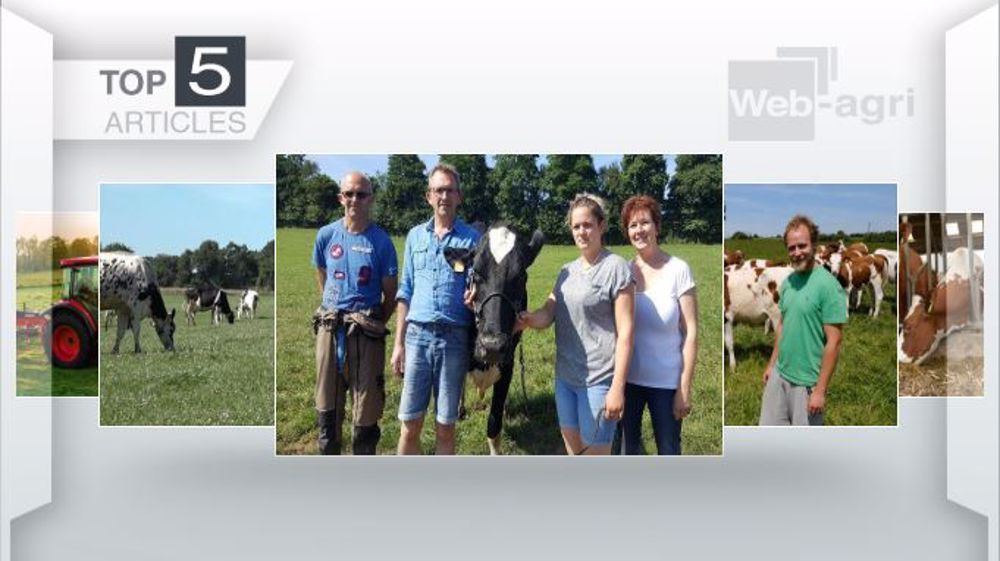 Les cinq articles les plus lus sur Web-agri cette semaine. (©Terre-net Média)