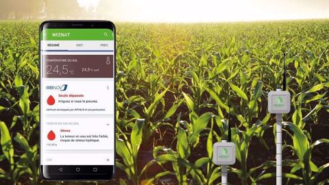 L'application analyse les paramètres de pluviométrie, d'hygrométrie au sol, la météo, etc. (©Weenat)
