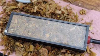 Trois pieds de maïs représentatifs de la parcelle suffisent pour analyser la matière sèche des maïs en vert en vue de caler la date d'ensilage. (©BCEL Ouest) Trois pieds de maïs représentatifs de la parcelle suffisent pour analyser la matière sèche des maïs en vert en vue de caler la date d'ensilage. (©BCEL Ouest)
