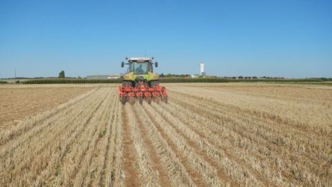 Un passage unique de strip-till avant le semis de colza est envisageable dans les sols légers voire intermédiaires. (©Arvalis-Institut du végétal) Un passage unique de strip-till avant le semis de colza est envisageable dans les sols légers voire intermédiaires. (©Arvalis-Institut du végétal)