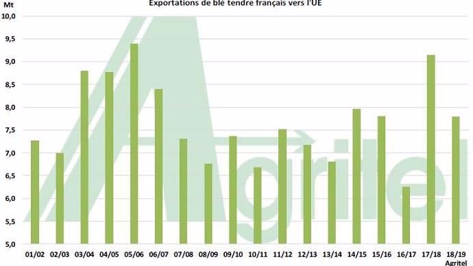 Les opérateurs devraient exporter moins de blé tendre vers nos voisins européens que lors de la campagne précédente
