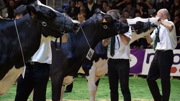 Le programme des présentations animales du Space 2018