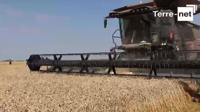 Massey Ferguson Ideal, la sœur de la Fendt Ideal