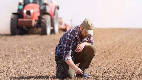 Attendues avec impatience en France et en Ukraine, les pluies ralentissent les récoltes de blé en Russie. (©Fotolia/Dusan Kostic)