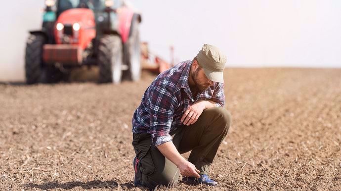 Agriculteur dans son champ