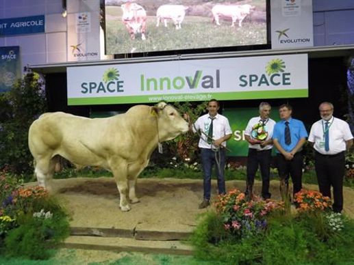 Prix de Championnat Mâle, Blonde d'Aquitaine