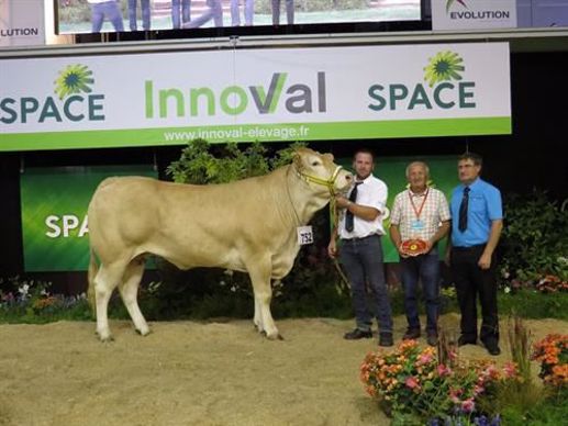 Prix de Championnat de Synthèse, Blonde d'Aquitaine