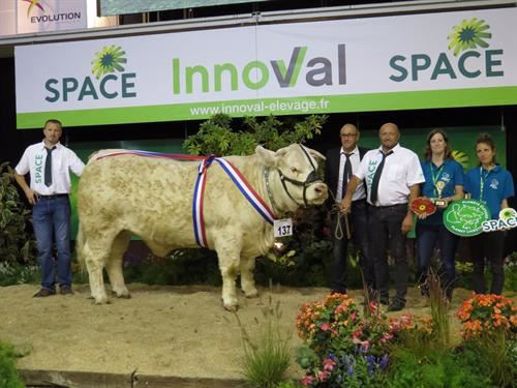 Prix de Championnat Femelle, Charolaise