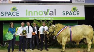 Prix de Championnat mâle, Intraitable (©Space) Prix de Championnat mâle, Intraitable (©Space)