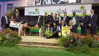 La grande championne du Space 2018 en Holstein. (©Terre-net Média) La grande championne du Space 2018 en Holstein. (©Terre-net Média)