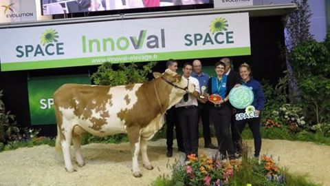 Ker-Lys remporte le titre de grande championne en Simmental. (©Space) Ker-Lys remporte le titre de grande championne en Simmental. (©Space)