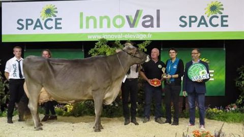 LBB Genial grande championne brune (©Space) LBB Genial grande championne brune (©Space)