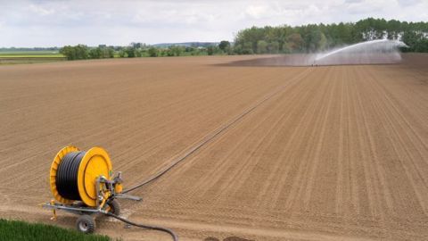 Le volume d'eau moyen prélevé en France pour les cultures irriguées (1 700 m3/hectare et par an) est « bien plus faible que les 4 800 m3/ha/an observés en Espagne et en Italie, ou que la moyenne observée dans l'UE (4 000 m3). (©Watier Visuel)