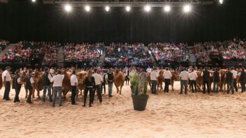 Le concours national Limousin 2018 aura lieu les 21, 22 et 23 septembre au Parc des expositions de Châteauroux Belle-Isle (36) (©Limousine.org)