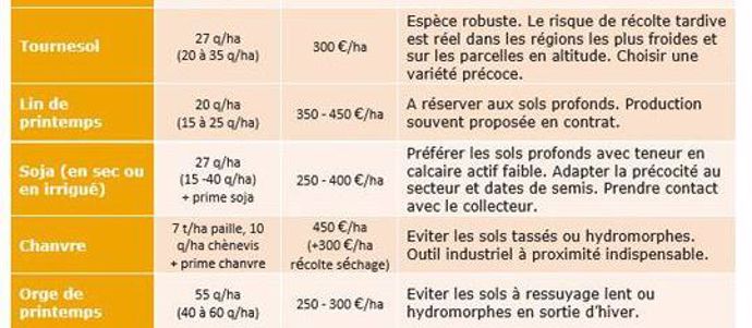 Cultures de printemps en cas de retournement ou de non semis du colza