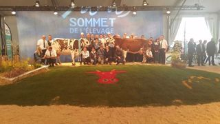 Liege, sacrée Grande championne et Championne jeune et Ivoine, sacrée Championne adulte du concours Normande (©<a href="https://www.facebook.com/lanormande.cow" title="Page Facebook La Normande" target="_self">Page facebook La Normande</a>) Liege, sacrée Grande championne et Championne jeune et Ivoine, sacrée Championne adulte du concours Normande (©<a href="https://www.facebook.com/lanormande.cow" title="Page Facebook La Normande" target="_self">Page facebook La Normande</a>)