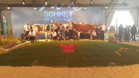 Liege, sacrée Grande championne et Championne jeune et Ivoine, sacrée Championne adulte du concours Normande (©<a href="https://www.facebook.com/lanormande.cow" title="Page Facebook La Normande" target="_self">Page facebook La Normande</a>) Liege, sacrée Grande championne et Championne jeune et Ivoine, sacrée Championne adulte du concours Normande (©<a href="https://www.facebook.com/lanormande.cow" title="Page Facebook La Normande" target="_self">Page facebook La Normande</a>)