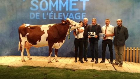 Fany, sacrée Grande Championne du concours Montbéliarde Fany, sacrée Grande Championne du concours Montbéliarde