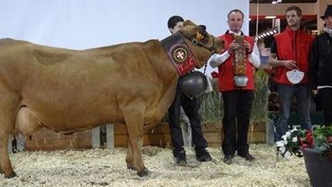 Palmarès du concours Tarentaise