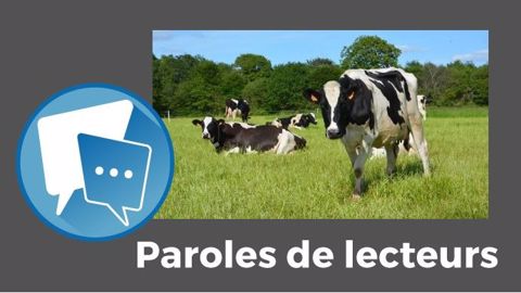 « Le rêve de la société française de voir les vaches dans de vertes prairies risque de s'évaporer comme l'eau que nous attendons ! », ironise Patrice Brachet. (©Terre-net Média) « Le rêve de la société française de voir les vaches dans de vertes prairies risque de s'évaporer comme l'eau que nous attendons ! », ironise Patrice Brachet. (©Terre-net Média)