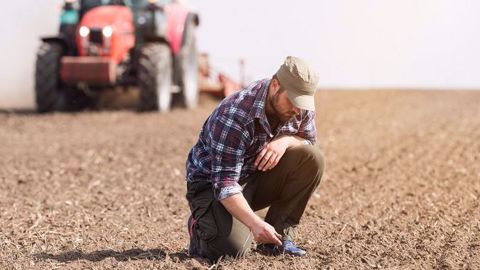 En ce mois de septembre 2018, la France a reçu seulement 23 mm pour une normale de 67 mm, soit un déficit de 66 %. (©Fotolia/Dusan Kostic)