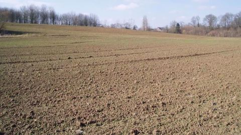 Le climat sec joue les prolongations en Europe (©Terre-net Média)