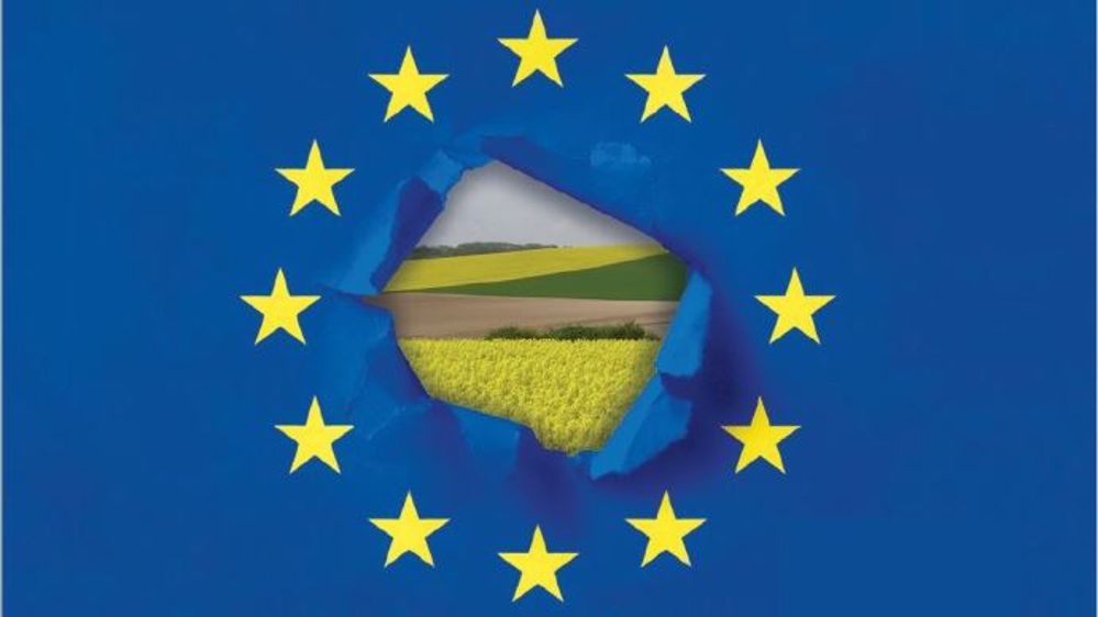 L'environnement est l'une des grandes priorités de la Commission européenne pour la Pac post-2020. (©Fotolia, Terre-net Média // Création Terre-net Média)