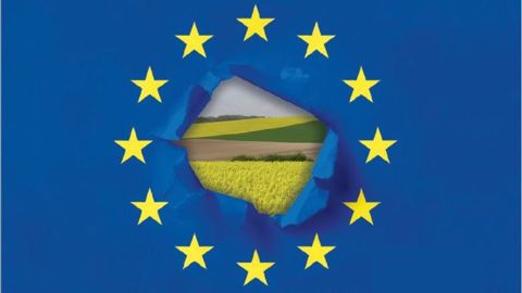 L'environnement est l'une des grandes priorités de la Commission européenne pour la Pac post-2020. (©Fotolia, Terre-net Média // Création Terre-net Média) L'environnement est l'une des grandes priorités de la Commission européenne pour la Pac post-2020. (©Fotolia, Terre-net Média // Création Terre-net Média)