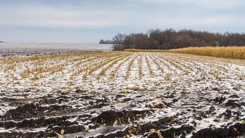 Un épisode neigeux devrait se produite mardi matin sur le quart Nord-Est et un redoux devrait se mettre en place dès mercredi. (©Fotolia/Yuri Kravchenko)