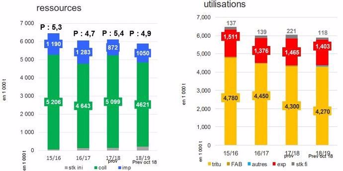 Prévision de bilan français colza pour la campagne 2018-2019.