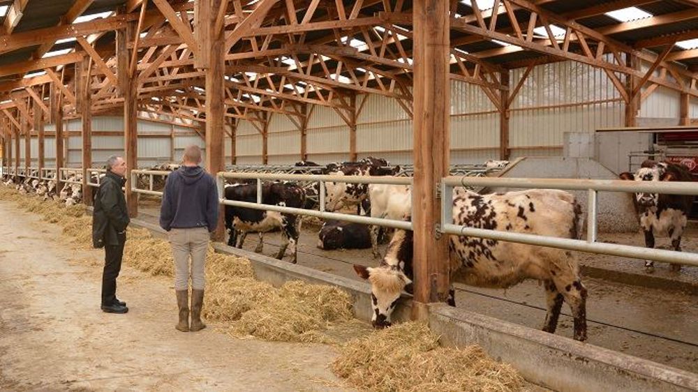 Toutes les personnes accompagnant les agriculteurs dans leur activité peuvent être actrices de la prévention du suicide dans le monde agricole. (©Watier Visuels)