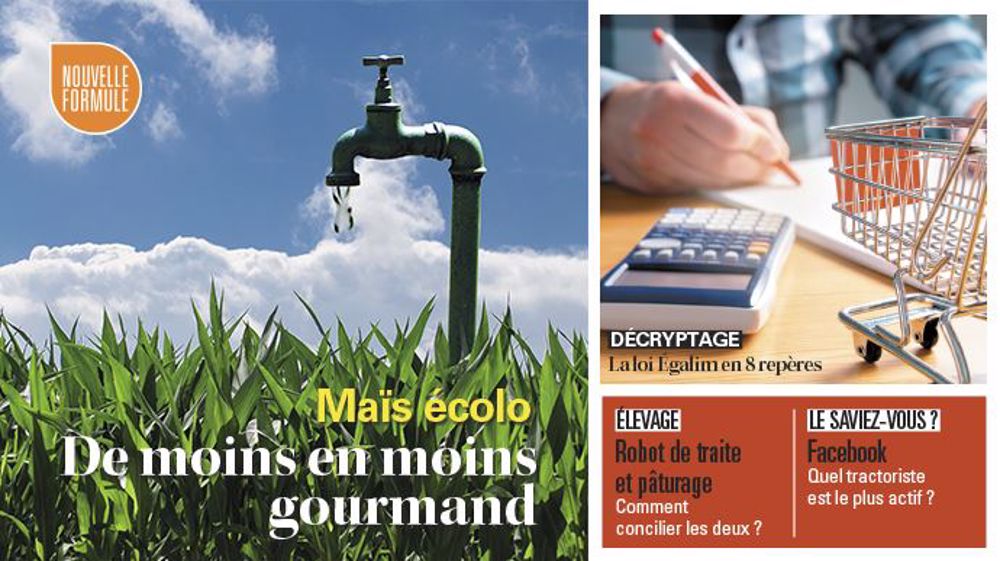 <a href="https://www.terre-net.fr/magazine#utm_campaign=TNMagazine&utm_source=Colonne-droite&utm_medium=BMK" target="_blank">Lire Terre-net Le Magazine en ligne ICI.</a> (©Pixabey//Création Nathalie Jacquemin Murtin)