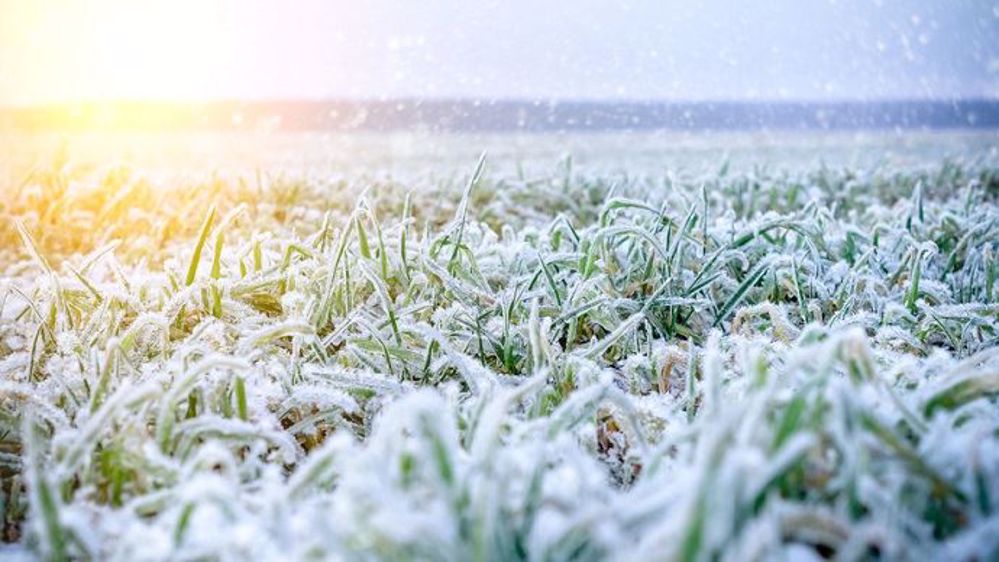 La France devrait connaître plusieurs épisodes neigeux pour le début d'année 2019. (©Fotolia/Nordoden) 