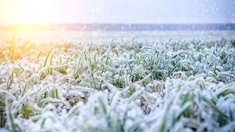 La France devrait connaître plusieurs épisodes neigeux pour le début d'année 2019. (©Fotolia/Nordoden) 