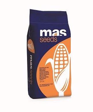 Mas Seeds