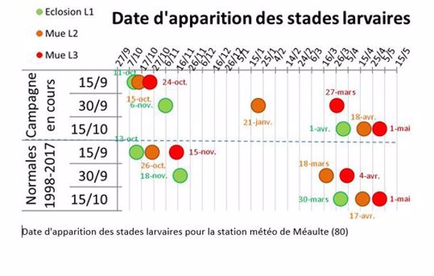 Date d'apparition des stades larvaires pour la station de Méaulte (80)